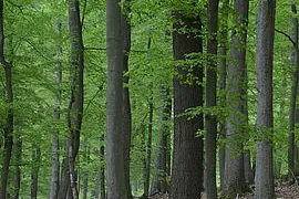 Von der Gründung ins 21. Jahrhundert